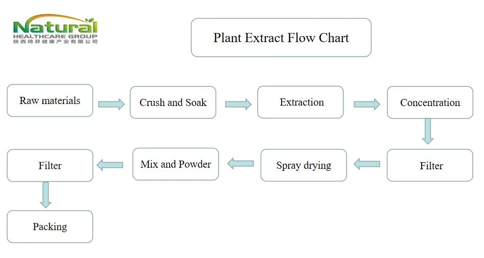 flow chart