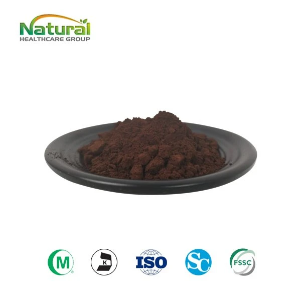 Extrato de Ganoderma em pó