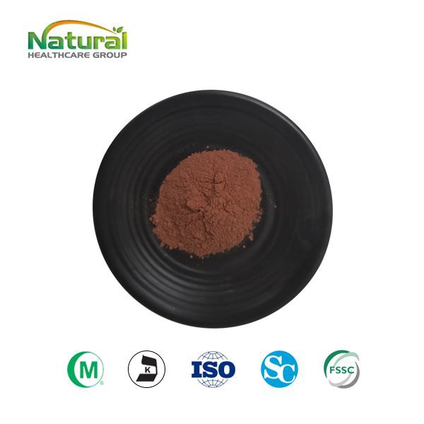 Extrato de chá em pó