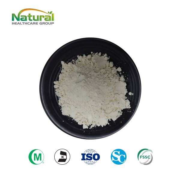 Melhor proteína de arroz em pó