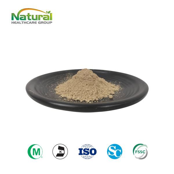 Pó de extrato de casca de magnólia 98% Magnolol