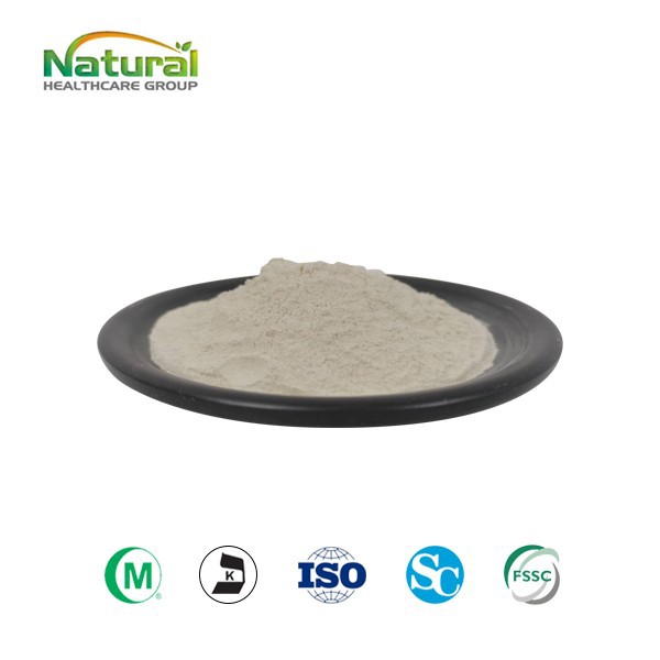 Extrato de gergelim em pó