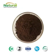Extrato de Chá Pu Erh