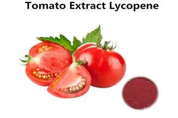 Qual é o processo de absorção do Pó de Licopeno Natural?