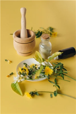 Como usar o extrato de Celandine?