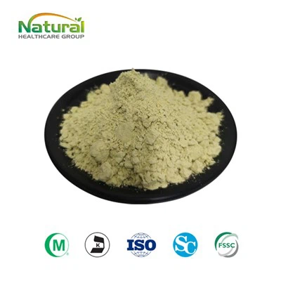 Proteína em Pó de Semente de Abóbora Orgânica
